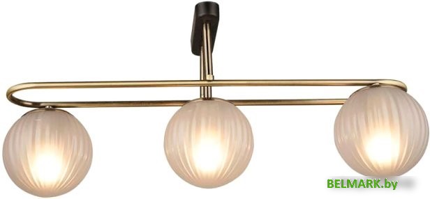 Припотолочная люстра Aitin Pro НПБ 02-3x60-101 N4386/3 - фото