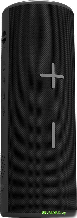 Беспроводная колонка Soundmax SM-PS5024B (черный) - фото