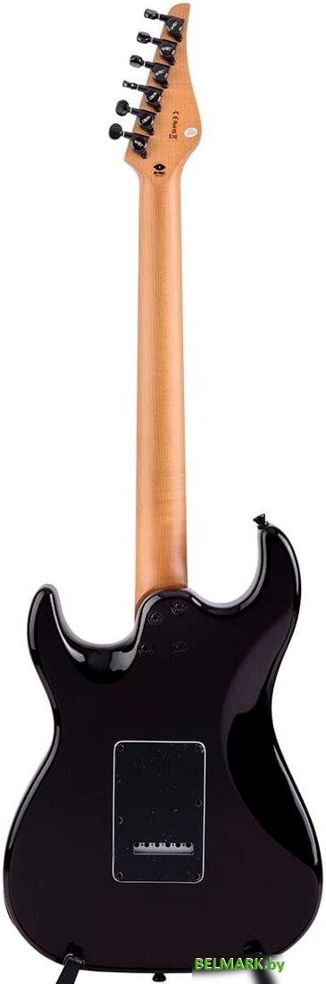 Электрогитара JET JS-450 TGR R - фото2