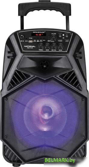 Колонка для вечеринок National NSM-V100 - фото