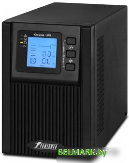 Источник бесперебойного питания Powerman Online 1000 Plus - фото