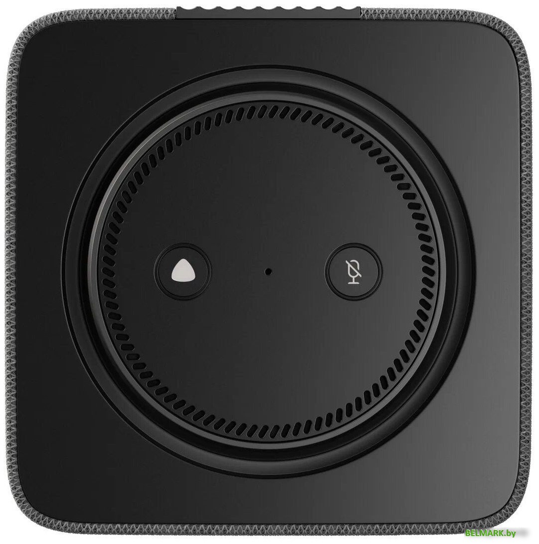 Умная колонка Яндекс Станция Макс (с хабом умного дома Zigbee, графит) - фото2