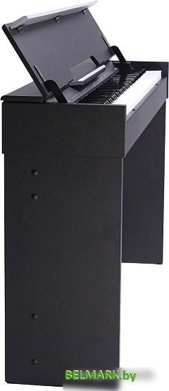 Цифровое пианино Medeli СDP5000 (черный) - фото2