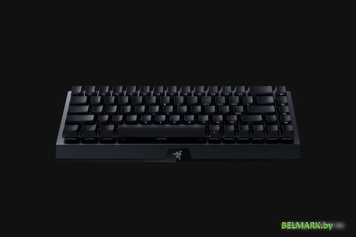 Клавиатура Razer Blackwidow V3 Mini Phantom Edition (Green Switch, нет кириллицы) - фото2