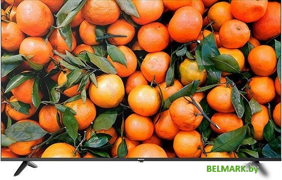 Телевизор Blackton Bt 55FSU34B - фото