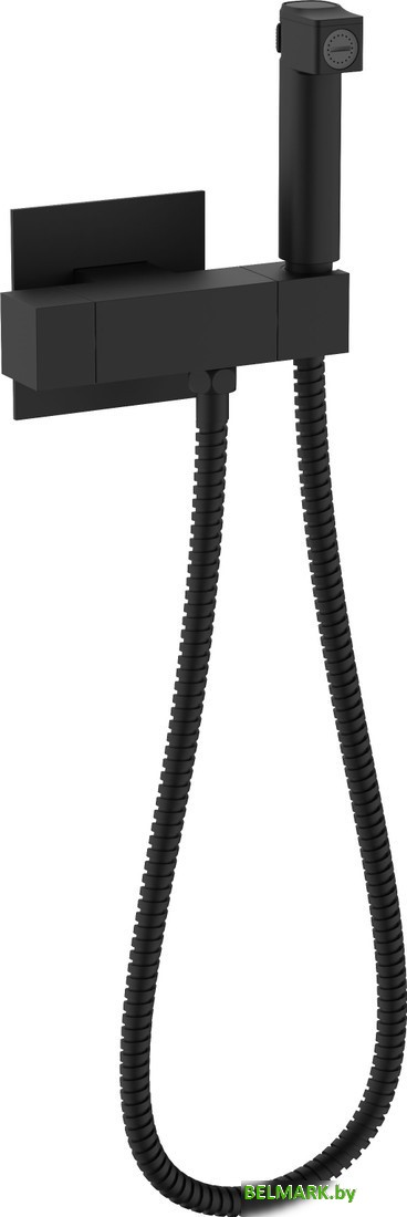 Гигиенический душ Raglo R24.56.06 - фото