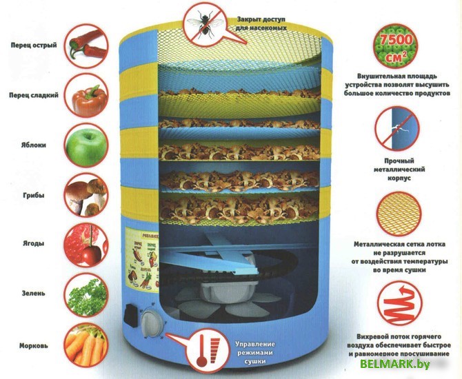 Сушилка для овощей и фруктов Элвин СУ-1 - фото2