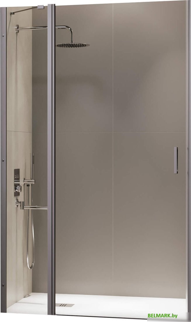 Душевая дверь RGW LE-004Gr 351200410-110 - фото