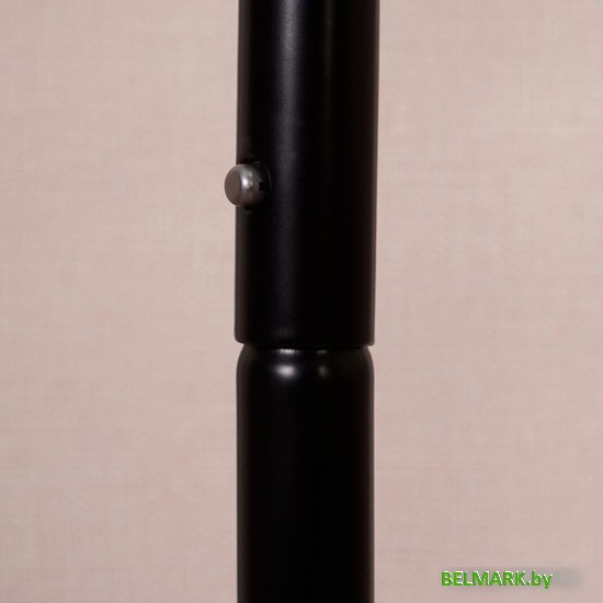 Стойка для одежды ЗМИ Римини 2 ВКР2 (черный) - фото2