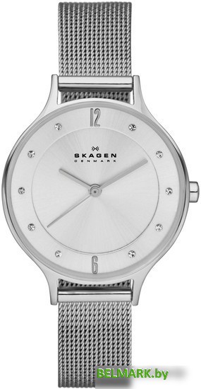 Наручные часы Skagen SKW2149 - фото