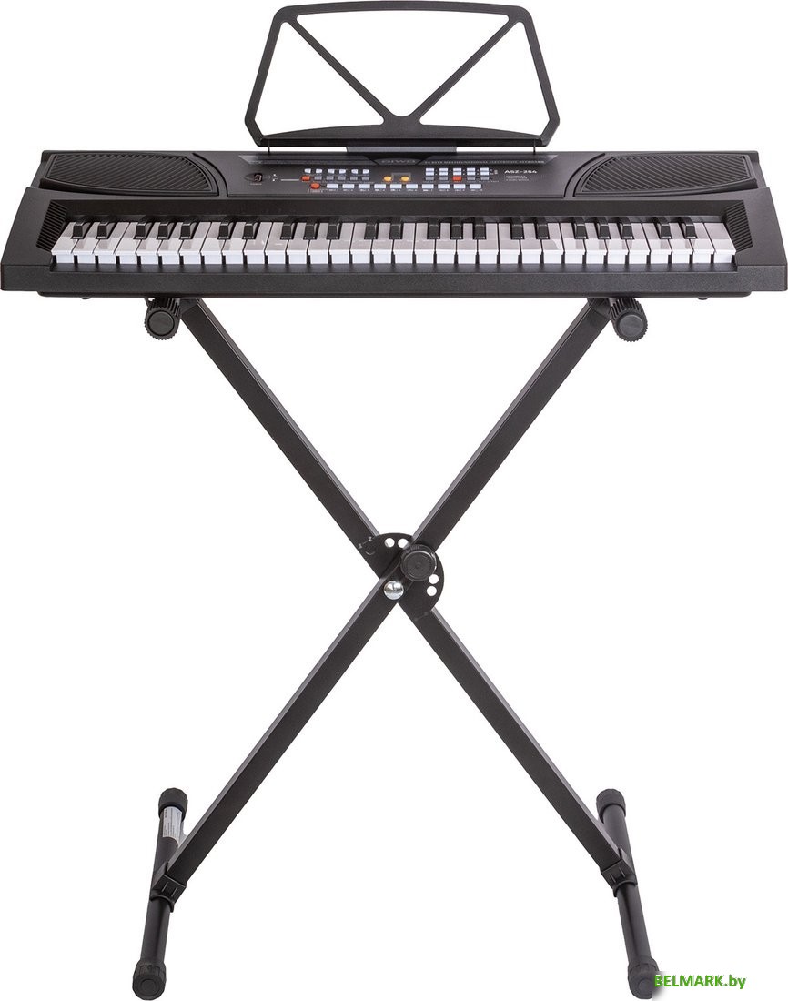 Синтезатор Aiwa ASZ-254 - фото2