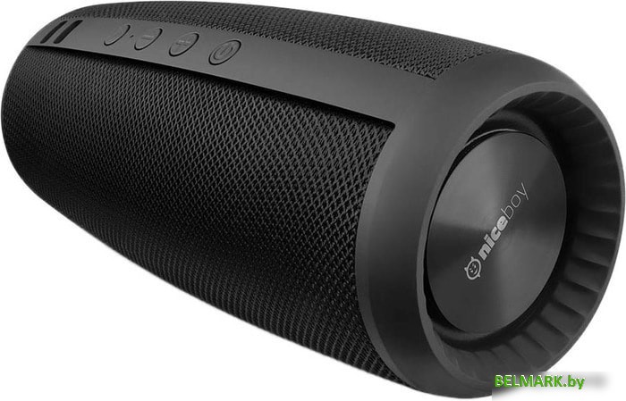 Беспроводная колонка Niceboy Raze 2 Ego - фото
