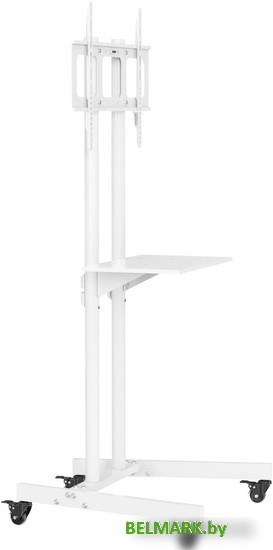 Кронштейн CACTUS CS-ST04WT - фото2