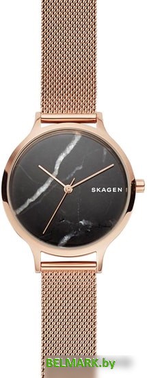 Наручные часы Skagen SKW2721 - фото