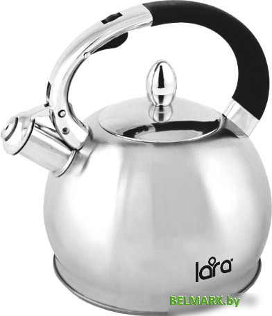 Чайник Lara LR00-10 - фото