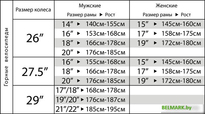Велосипед Stinger Reload Evo 29 р.22 2023 (черный) - фото2