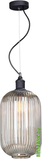 Подвесная люстра Vitaluce V4842-1/1S - фото