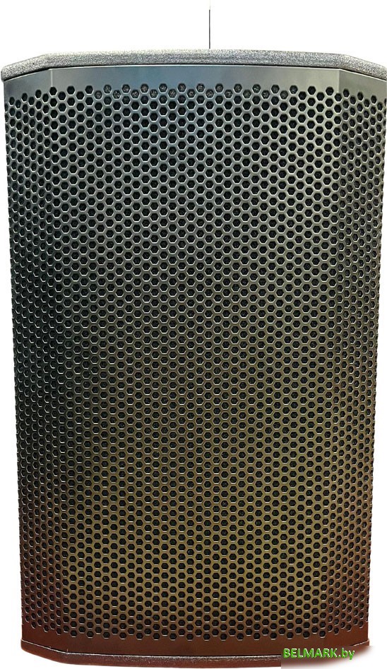 Активная акустика Acury DS12W - фото