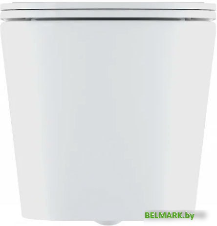 Унитаз IDDIS Bild BILRDSEi25 - фото2