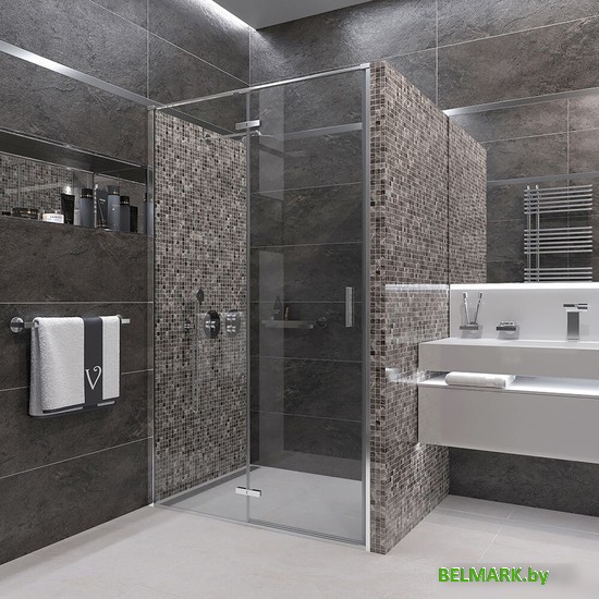 Душевая дверь Veconi VN-73 VN73-120-01-C4 - фото