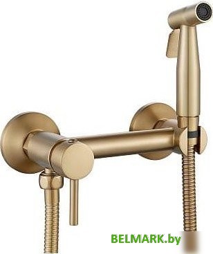 Гигиенический душ Shevanik S107G - фото