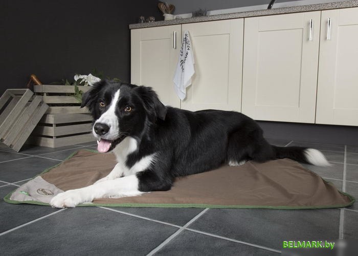 Коврик (подстилка) Scruffs Insect Shield 937287 (коричневый) - фото2