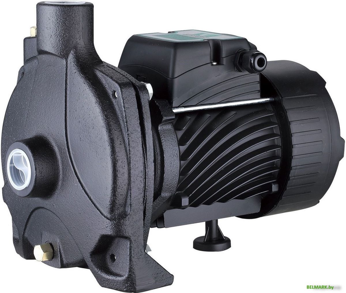 Центробежный насос Pumpman TCP170 - фото