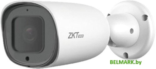 IP-камера ZKTeco ZK-LPR CarID BL-852Q38A-LP - фото