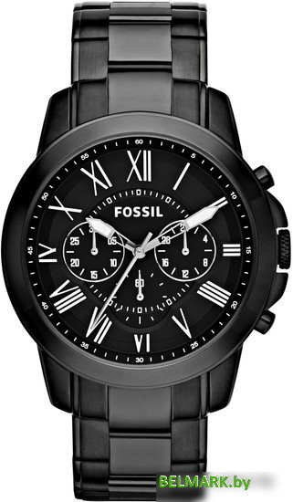 Наручные часы Fossil FS4832 - фото
