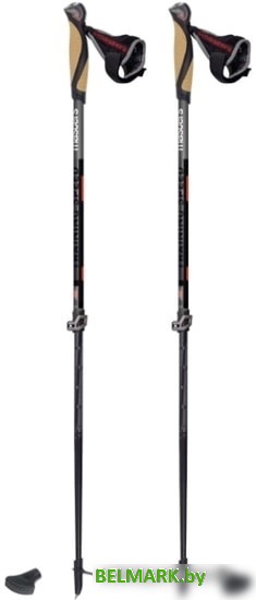 Треккинговые палки Masters Training Speed 01N0519 - фото