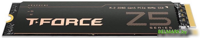 SSD Team T-Force Cardea Z540 2TB TM8FF1002T0C129 - фото2