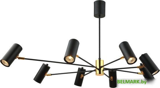 Подвесная люстра Lussole LSP-8252 - фото