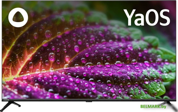 Телевизор StarWind SW-LED43SG300 - фото