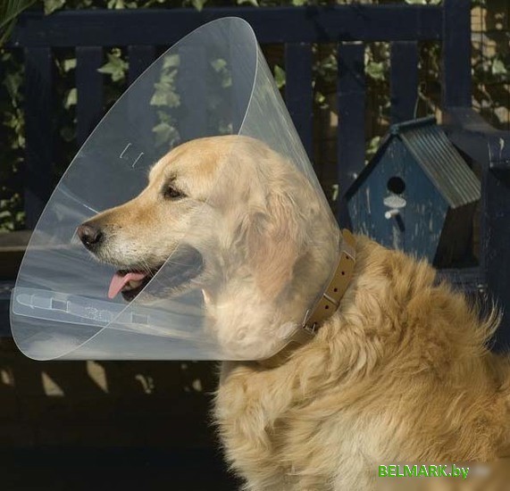 Защитный воротник Beeztees 796004 (38-44/20 см) - фото