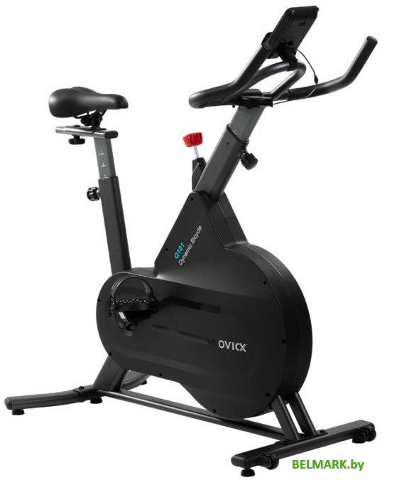 Велотренажер DFC Ovicx Q101C - фото