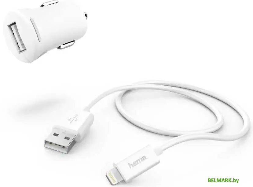 Автомобильное зарядное Hama 183266 - фото