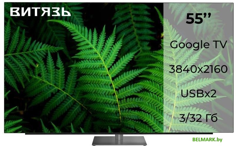OLED телевизор Витязь 55LU1250 - фото