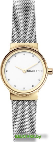 Наручные часы Skagen SKW2666 - фото