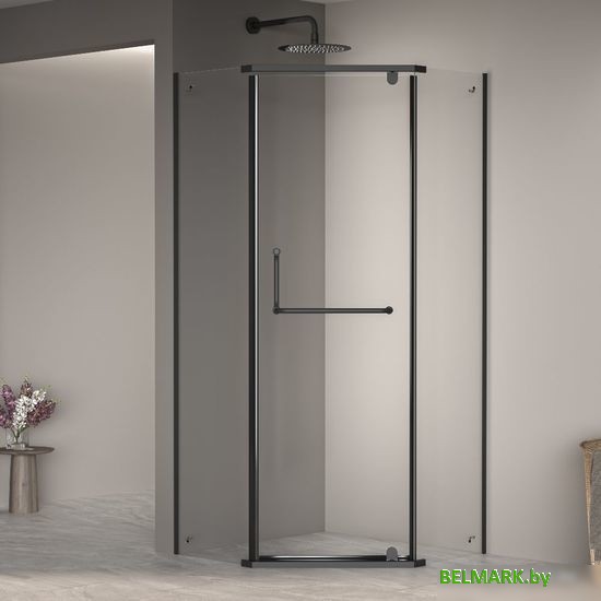 Душевой уголок RGW PA-081 35088122-14 - фото