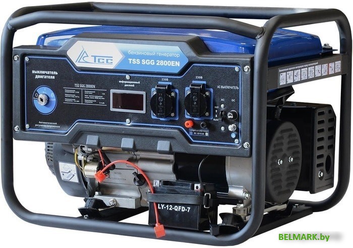 Бензиновый генератор ТСС SGG 2800EN - фото