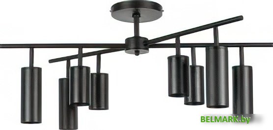 Люстра средней высоты Lightstar Rullo LR728374874 - фото