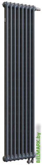 Стальной трубчатый радиатор Arbonia RRN 2180/5 24 (RAL 7016, подключение слева-направо) - фото