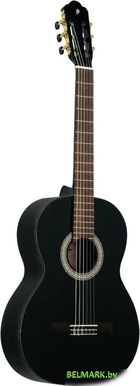 Акустическая гитара Prodipe Primera 3/4 BK - фото2
