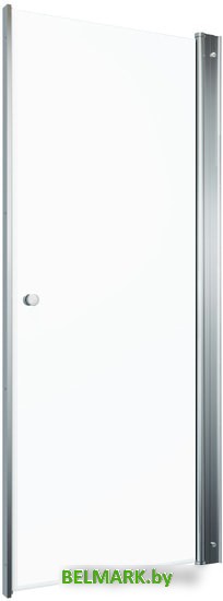 Душевая дверь Triton Уно 90 - фото