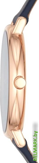 Наручные часы Skagen SKW2731 - фото2