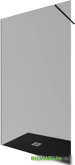 Душевая стенка Allen Brau Infinity 1 3.21014.BA.T 100x200 323806 (серебро браш) - фото