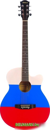 Акустическая гитара Elitaro E4040 RU Flag - фото