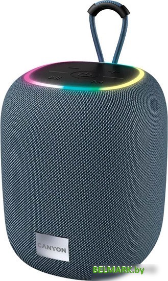 Беспроводная колонка Canyon BSP-8 (серый) - фото