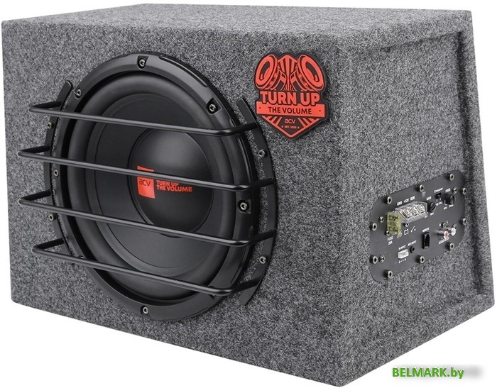Корпусной активный сабвуфер ACV Craft F10A - фото