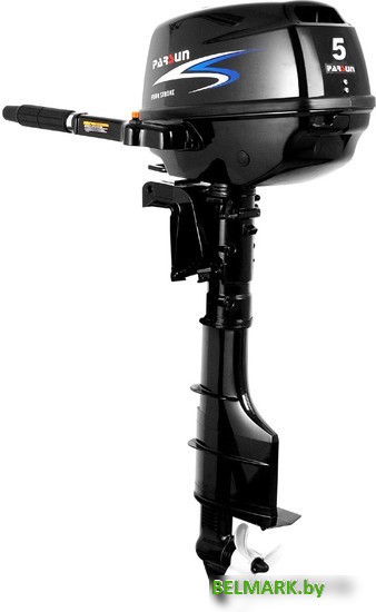 Лодочный мотор Parsun F5 BMS - фото